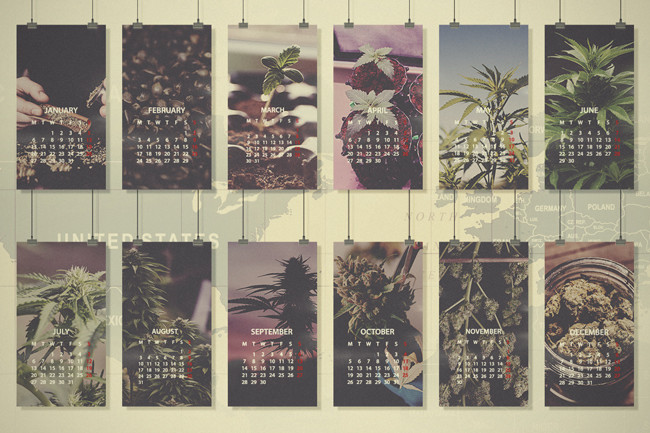 Guide de culture du mois : Europe du Nord, États-Unis et Canada