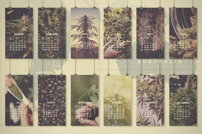 Guide de culture du cannabis : Amérique Centrale et du Sud