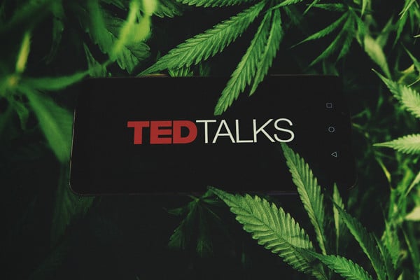Ted Talks sur le cannabis—Les meilleurs Ted Talks sur le cannabis