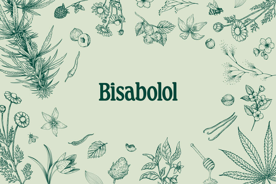 Bisabolol : découvrez ce terpène peu connu du cannabis