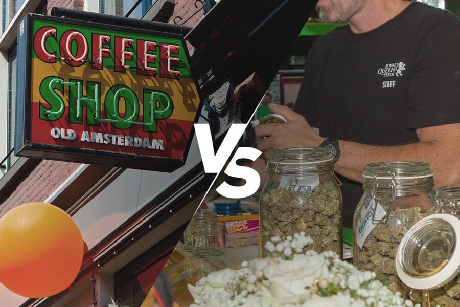 Quelle est la différence entre un coffeeshop et un dispensaire de cannabis ?