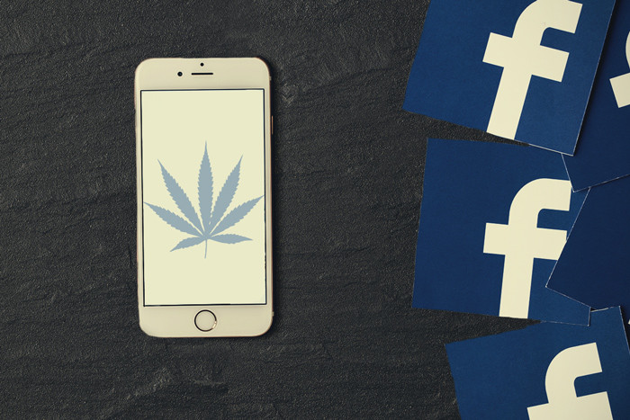 7 pages Facebook sur le cannabis à suivre dès aujourd'hui