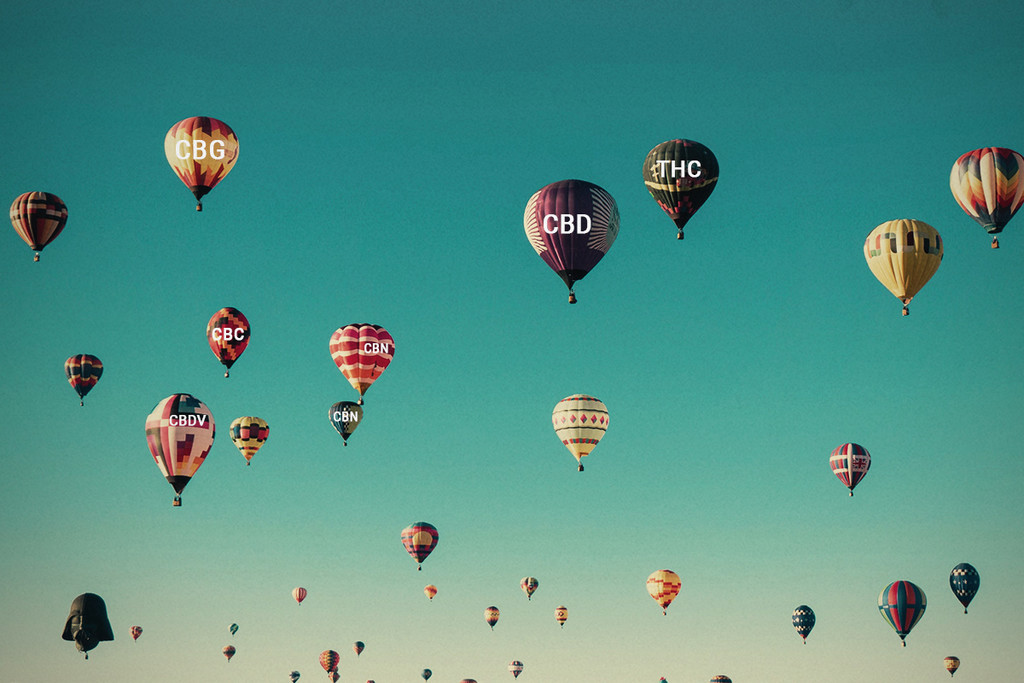 L'huile au CBD à spectre complet, peut-elle vous influencer ?