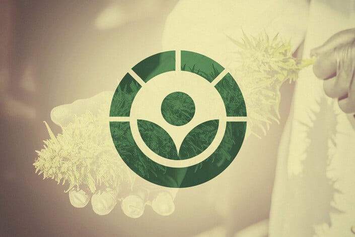 Tuer les moisissures sur le cannabis médical : l'irradiation est le futur ?