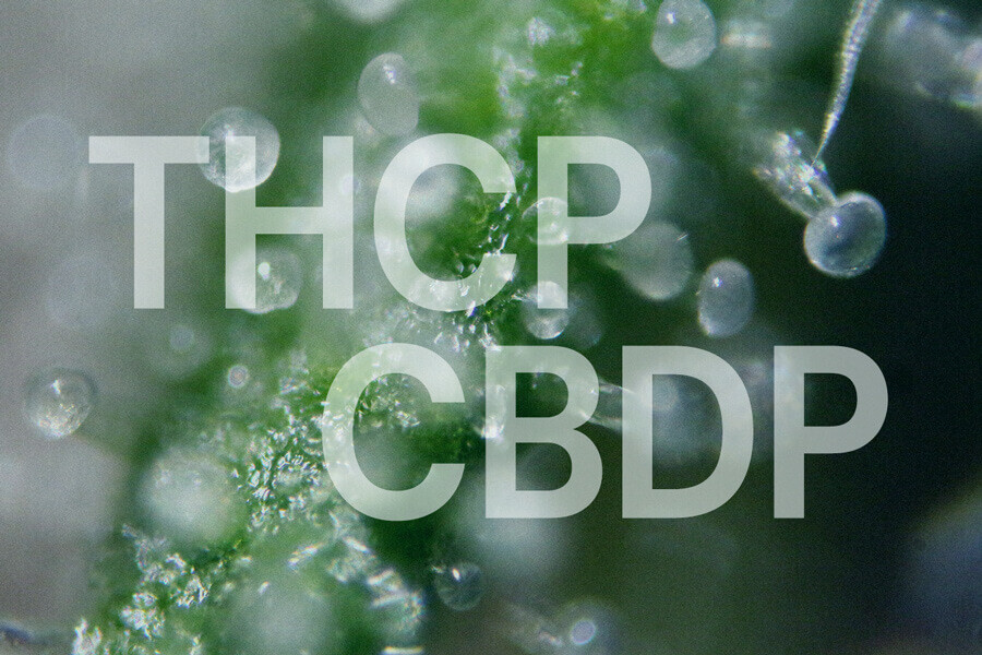 THCP et CBDP : décryptage de deux nouveaux cannabinoïdes