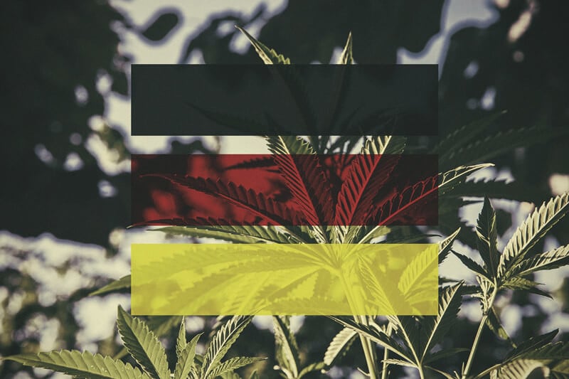 Comment cultiver du cannabis en extérieur en Allemagne, mois par mois