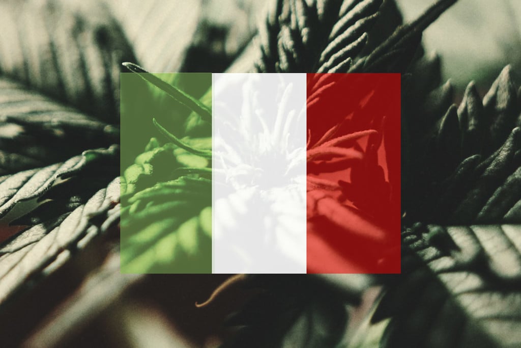 Culture du cannabis en extérieur en Italie : mois par mois 