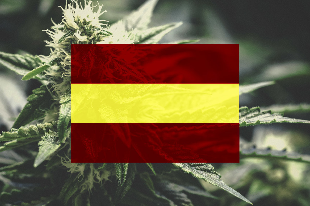 Cultiver du cannabis en Espagne | Un guide mois par mois
