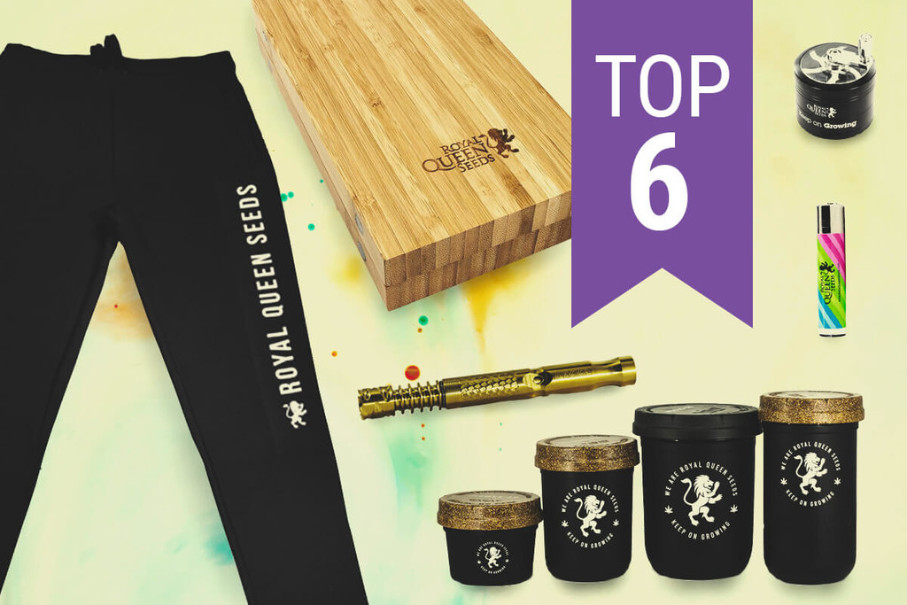 7 accessoires indispensables pour les fumeurs de CBD ! – HEMPI - CBD Shop