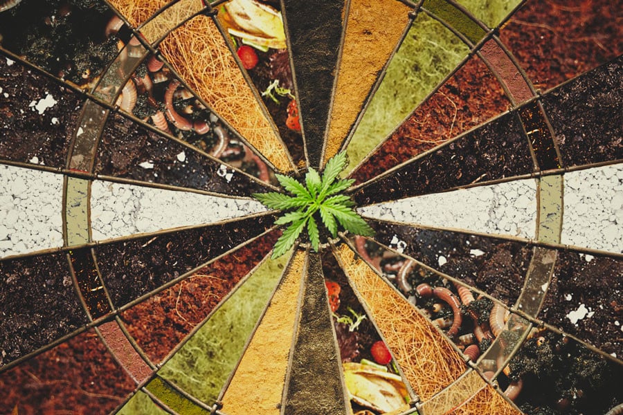 Quel est le meilleur milieu de culture pour le cannabis ?