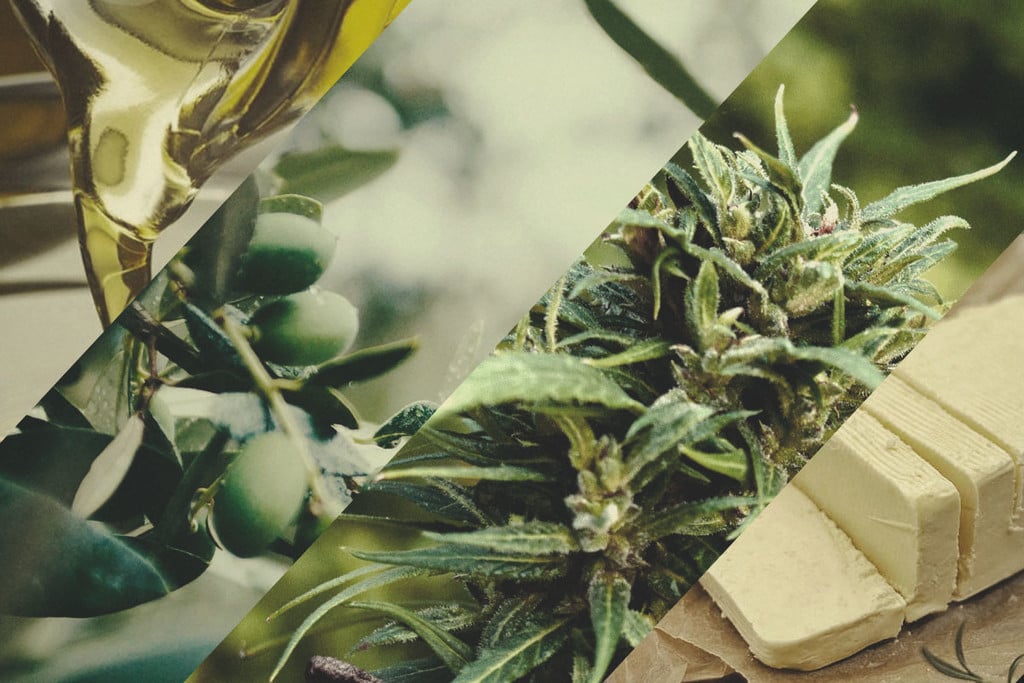 Beurre de cannabis Vs huile infusée : comprendre les différences