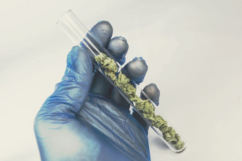 Comment Les Freins À La Recherche Sur Le Cannabis Affectent Son Progrès