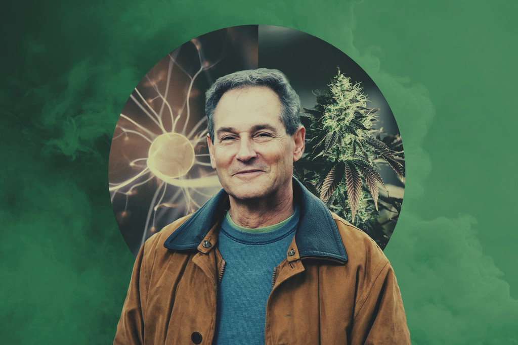 Interview RQS : Comment les effets du cannabis altèrent le cerveau avec Martin A Lee