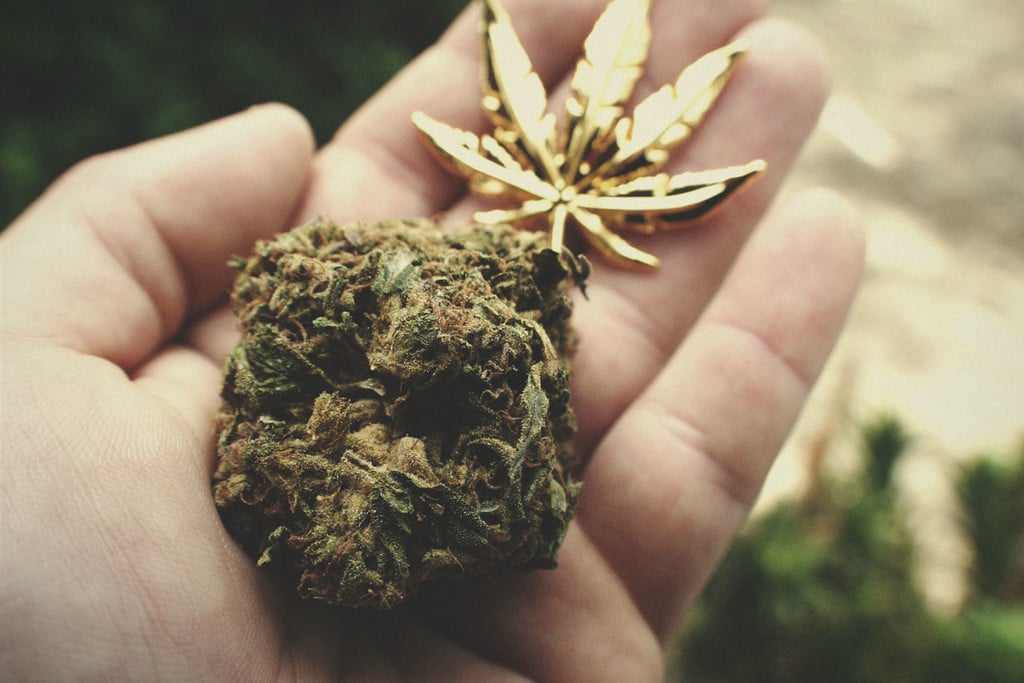 Qu'est-ce qu'on considère comme du cannabis riche en THC ?
