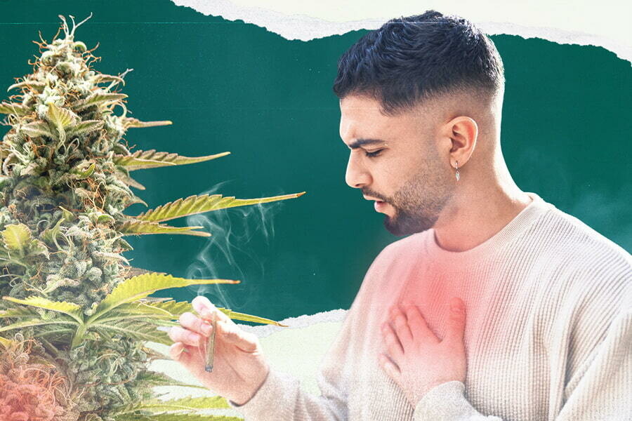 Pourquoi l'herbe fait tousser et comment l'éviter