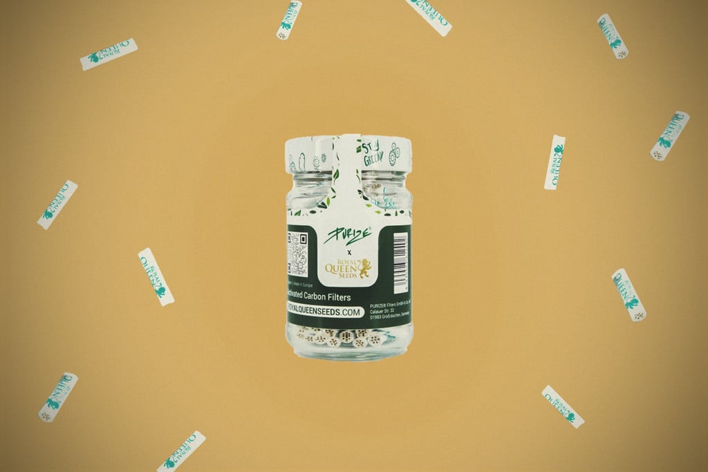 Filtres à charbon actif pour fumer : devriez-vous en utiliser ?