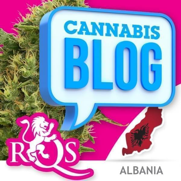 Cannabis en Albanie