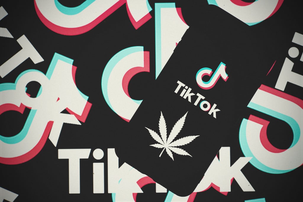 6 comptes TikTok à regarder en planant