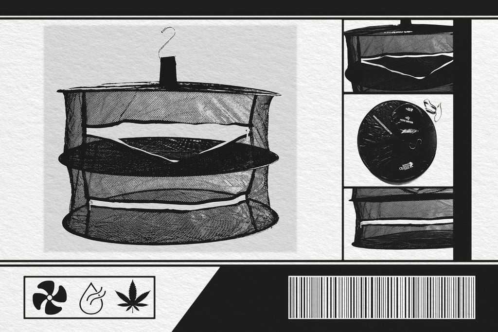 Comment sécher sa weed avec le Séchoir À Herbe RQS