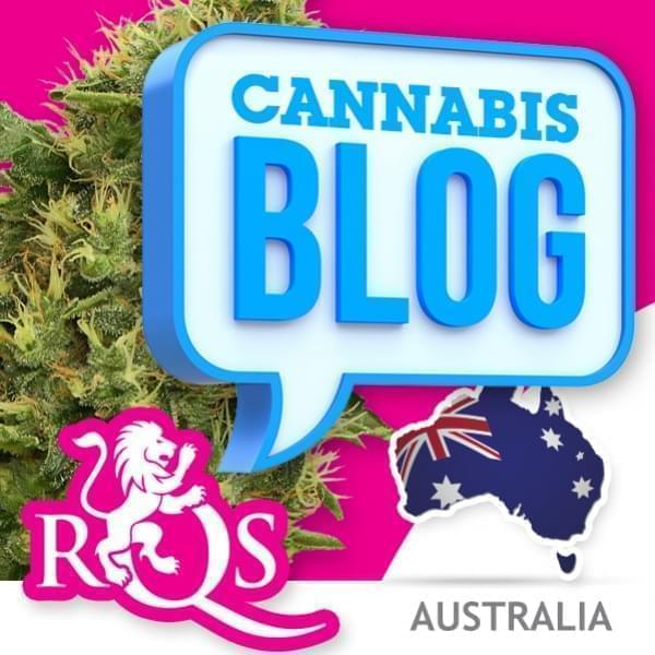 Cannabis en Australie