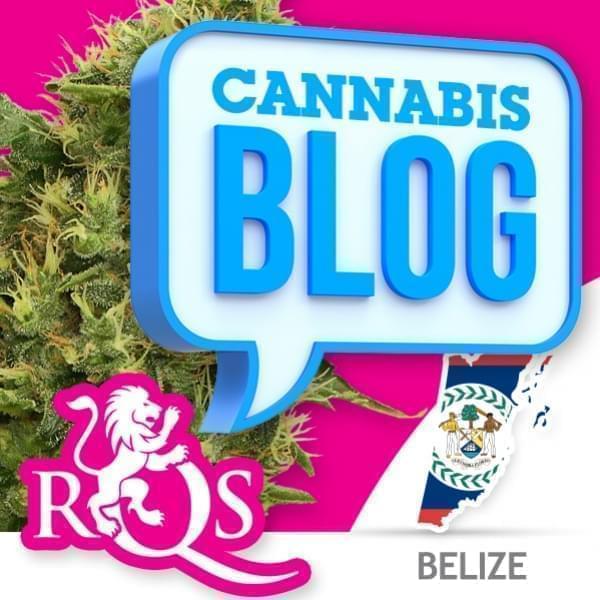 Cannabis à Belize