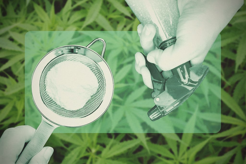 Comment utiliser le bicarbonate de soude dans une culture de cannabis