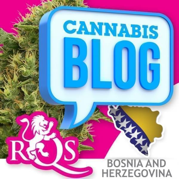 Cannabis en Bosnie