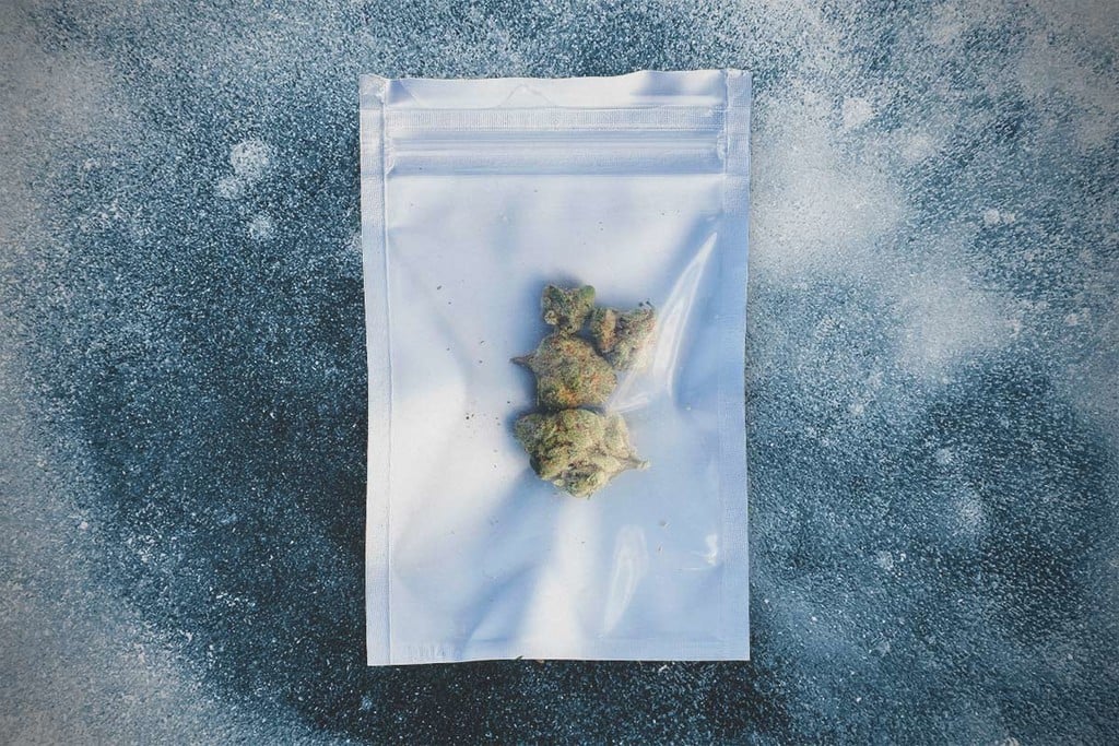 Guide du cannabis frais congelé