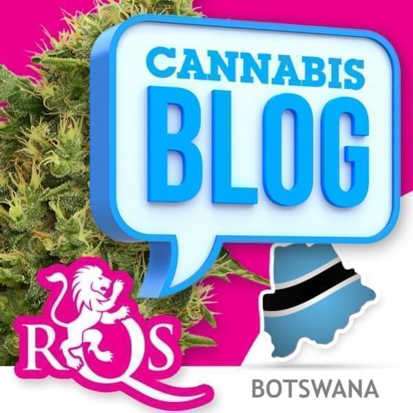 Cannabis au Botswana