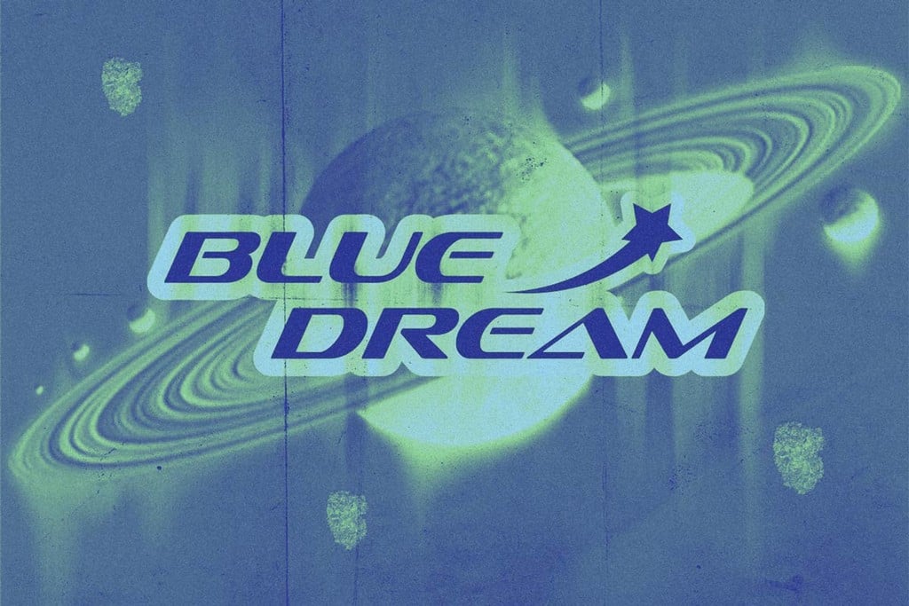 Blue Dream : génétiques, effets et caractéristiques de culture