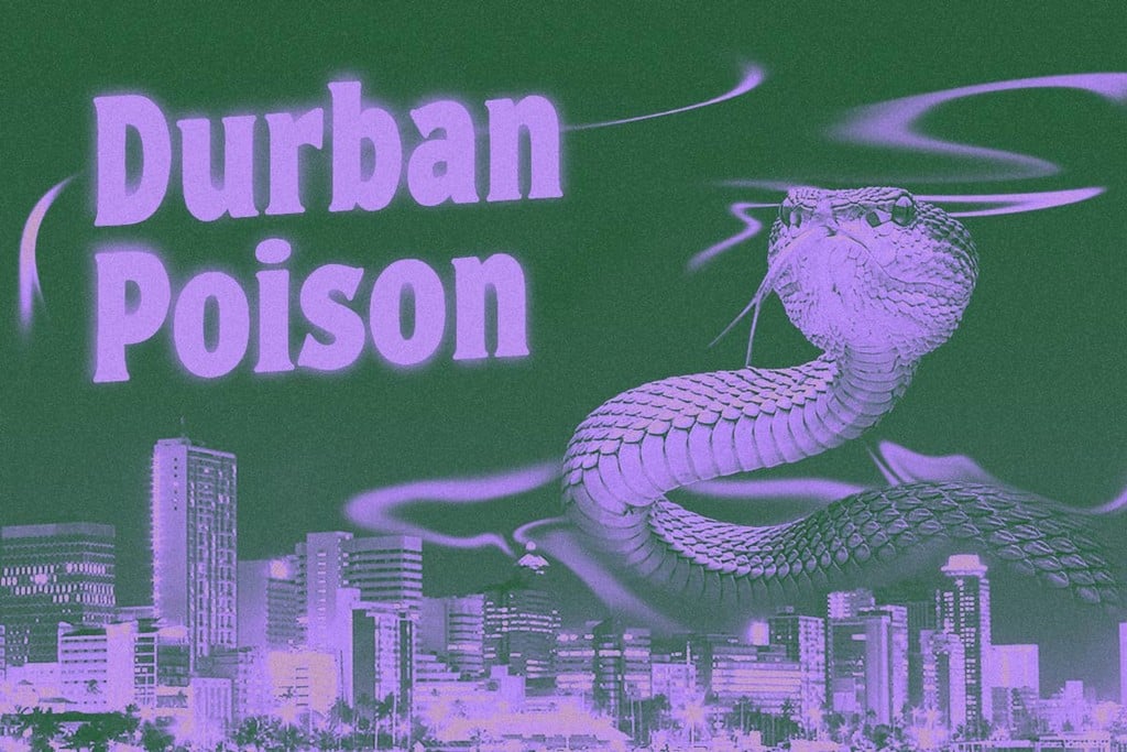 Variété Durban Poison : découvrez cette landrace légendaire