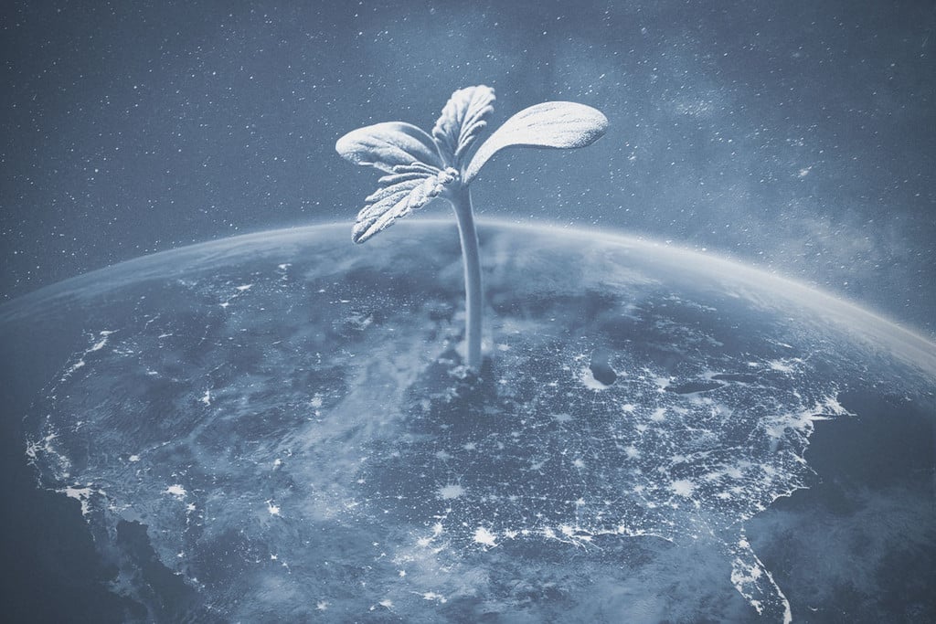 Est-ce légal de cultiver de l'herbe aux États-Unis en 2025 ?