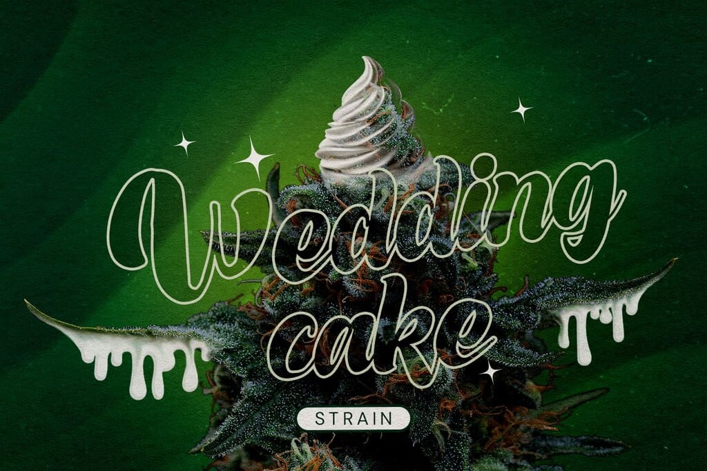 Wedding Cake : Revue de la variété