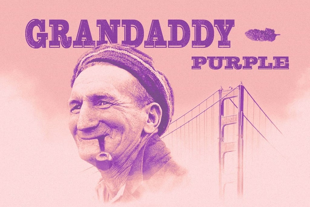 Granddaddy Purple : une légende fracassante