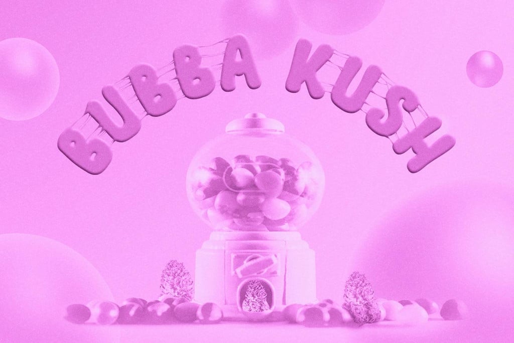 Bubba Kush : hybride indica légendaire