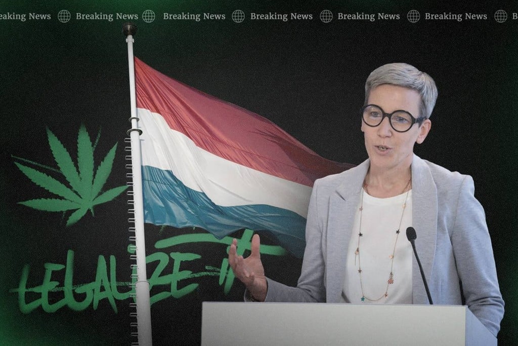 Réforme du cannabis : le Luxembourg légalise la culture amateur