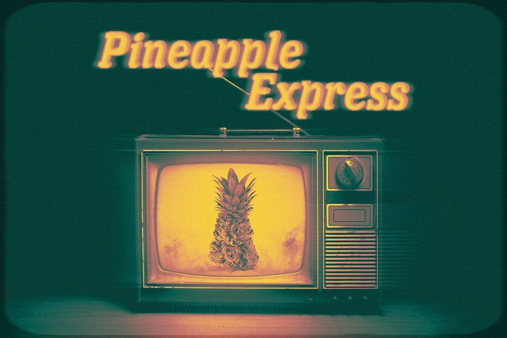 Variété Pineapple Express : une sativa délicieuse et énergisante