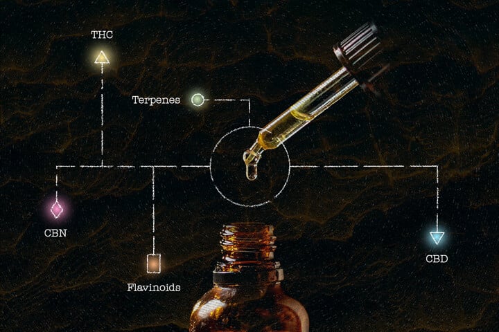 Qu’est-ce que l’huile de cannabis à spectre complet (FECO) ?