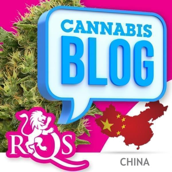 Cannabis en Chine