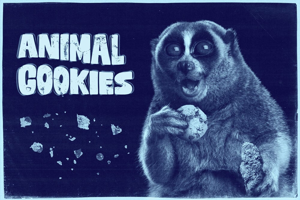 Variété Animal Cookies : une des hybrides les plus savoureuses
