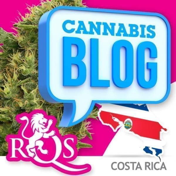 Cannabis au Costa Rica