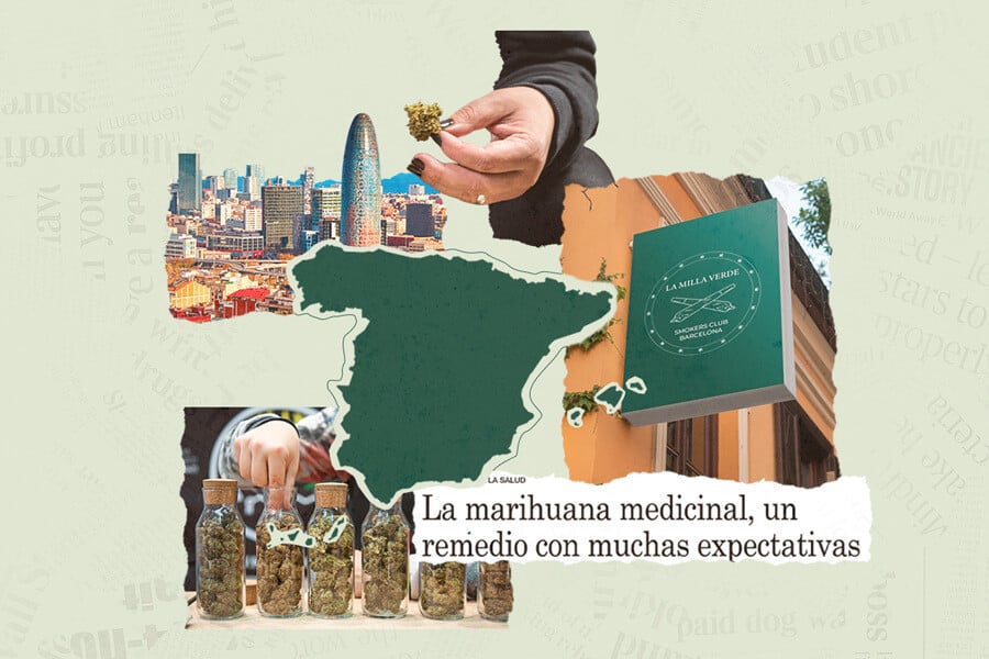 Statut légal du cannabis en Espagne : tout ce que vous devez savoir