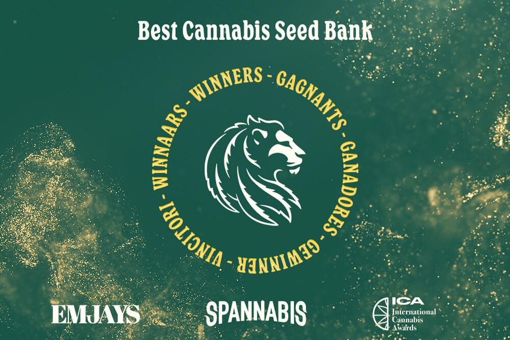 RQS remporte le prix de la Meilleur Banque de Graines à la Spannabis, ICA & EMJAYS