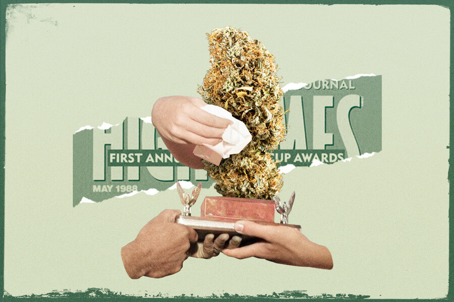 Cannabis Cups : Passé, présent, futur