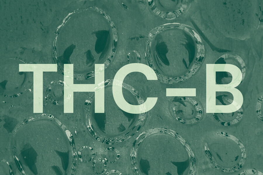 Ce que vous devez savoir sur le THCB