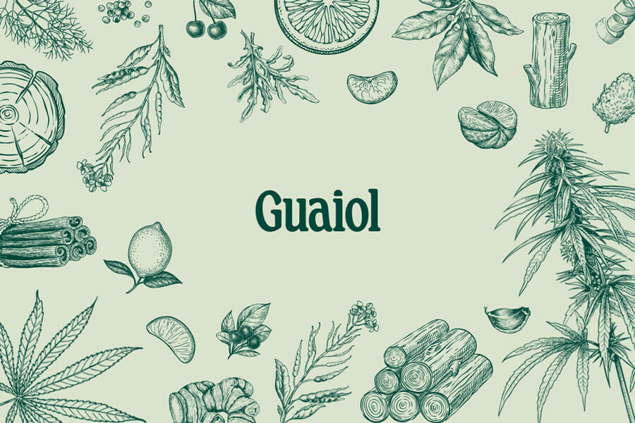 Guaiol : Un terpène moins connu du cannabis