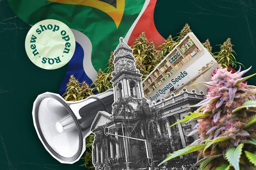 Première boutique Royal Queen Seeds à Durban pour des graines de qualité en Afrique du Sud