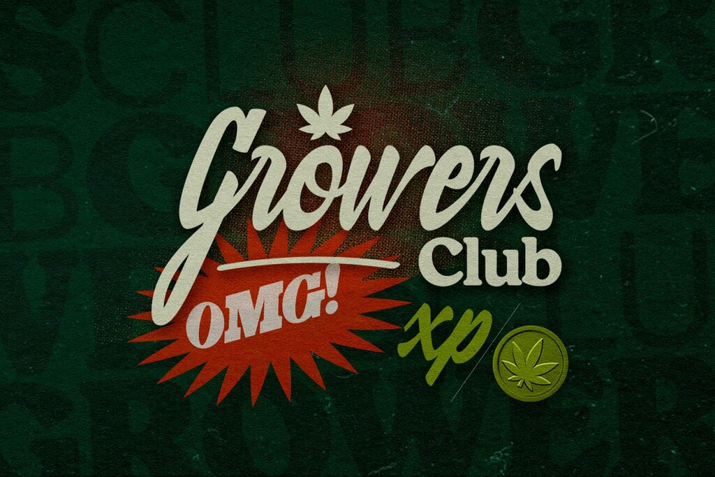Cultiver vos avantages : découverte du Growers Club de RQS
