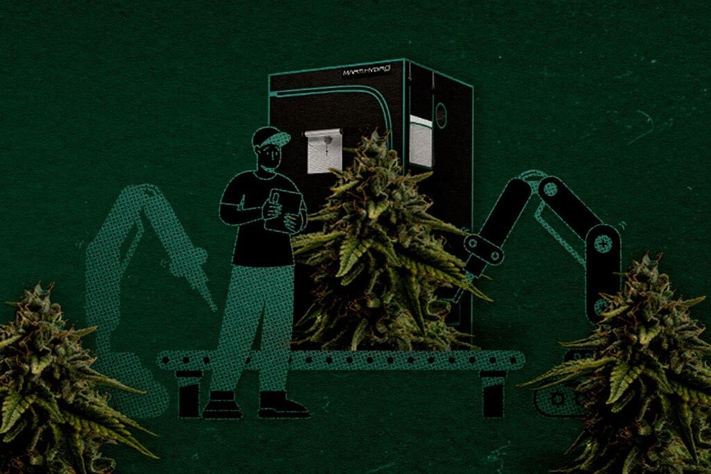 Installation d’une chambre de culture de 120x120 : Combien de plants et comment maximiser les rendements ?