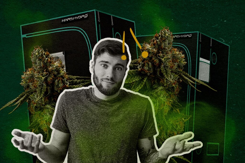 Les chambres de culture sont-elles étanches aux odeurs ? Ce que vous devez vraiment savoir